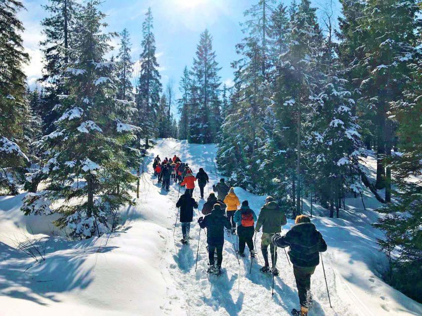 From Oslo: Oslomarka Forest Guided Snowshoeing Tour - Practical packing advice