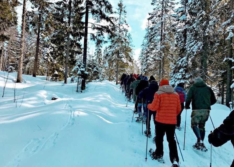 From Oslo: Oslomarka Forest Guided Snowshoeing Tour - Two hours in the quiet Oslomarka Forest