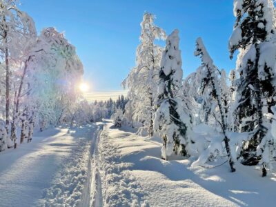 Oslomarka Forest Guided Snowshoeing Tour