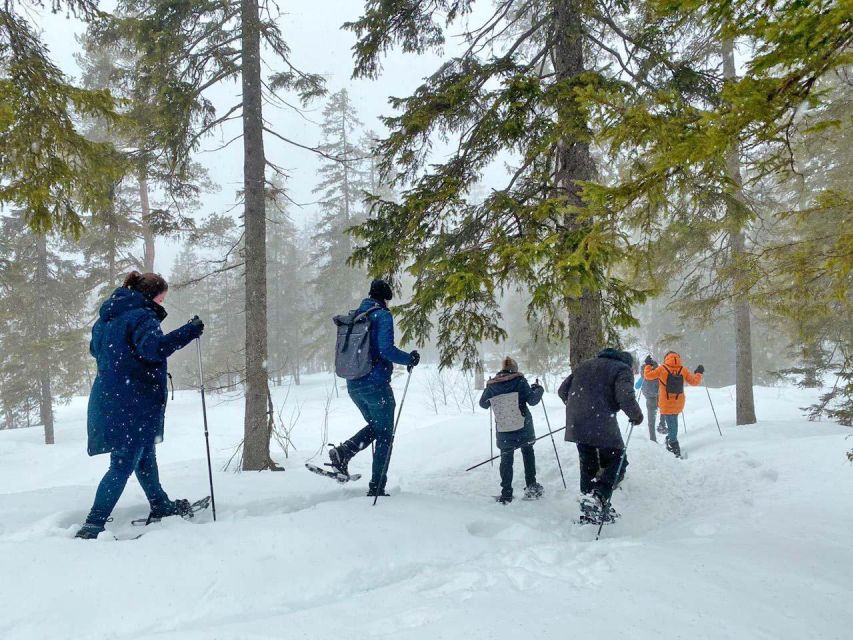 From Oslo: Oslomarka Forest Guided Snowshoeing Tour - What the snow feels like underfoot