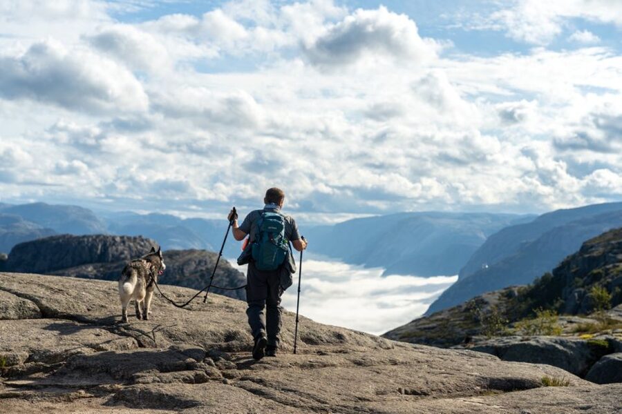From Stavanger: Pulpit Rock Guided Hike with Pickup - Key points at a glance