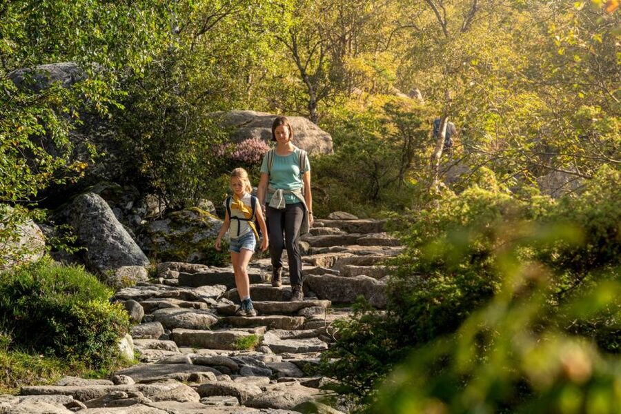 From Stavanger: Pulpit Rock Guided Hike with Pickup - Who should book this experience?