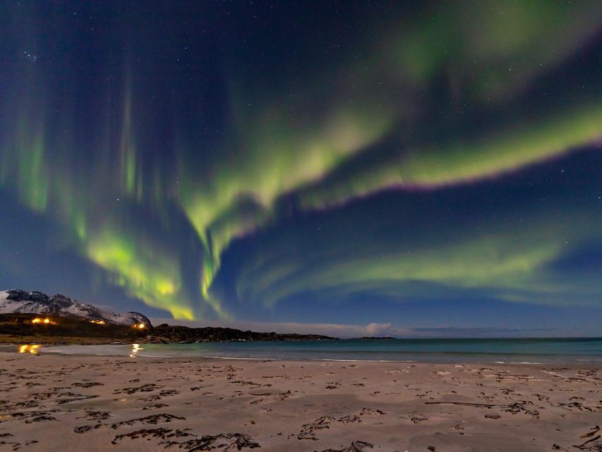 From Svolvær: Guided Northern Lights Tour by Van - Key points at a glance