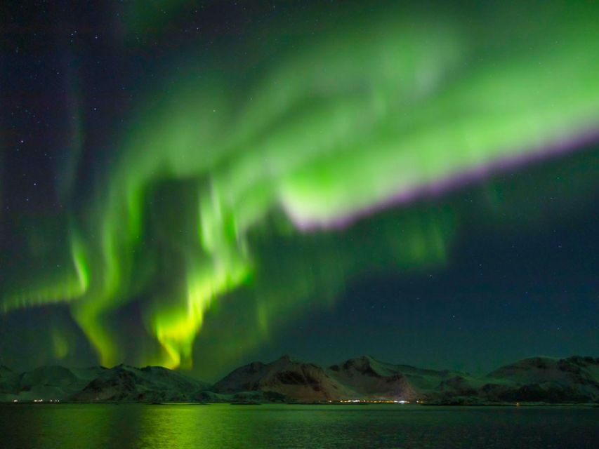 From Svolvær: Guided Northern Lights Tour by Van - Warmth, comfort, and time outdoors