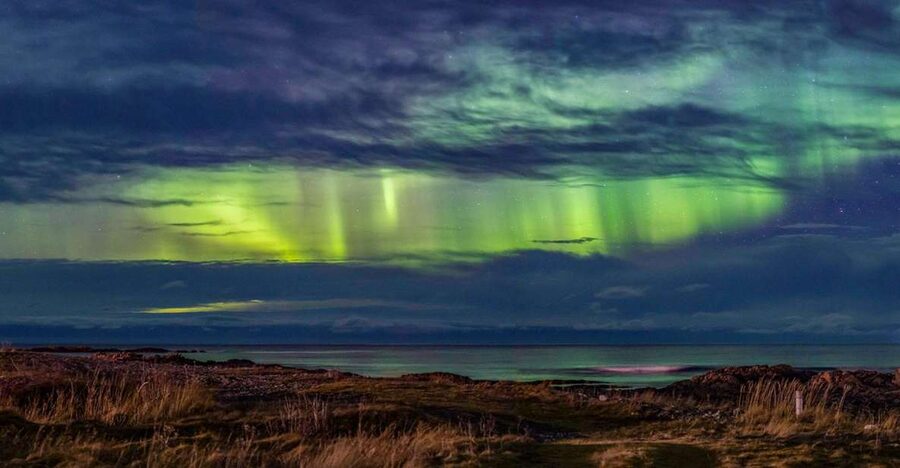 From Svolvær: Guided Northern Lights Tour by Van - Chasing clear skies around Vågan