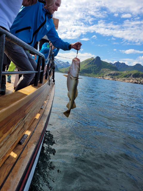 From Svolvaer: Lofoten Fishing Boat Cruise - Key points to know before you book