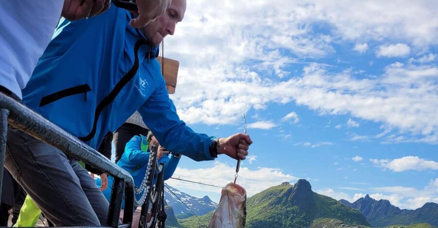 From Svolvaer: Lofoten Fishing Boat Cruise - Hunting for cod, pollock, and haddock