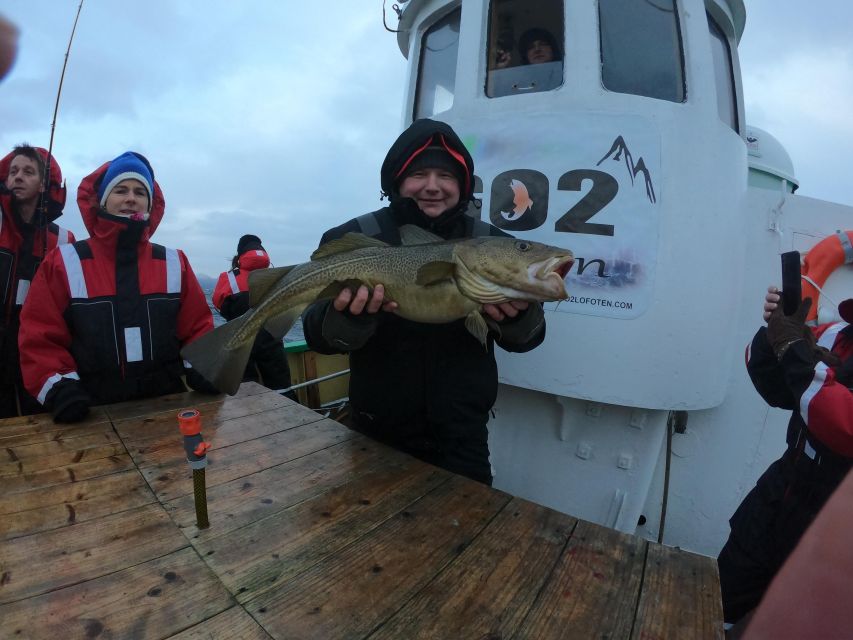 From Svolvaer: Lofoten Fishing Boat Cruise - Preparing your catch for dinner