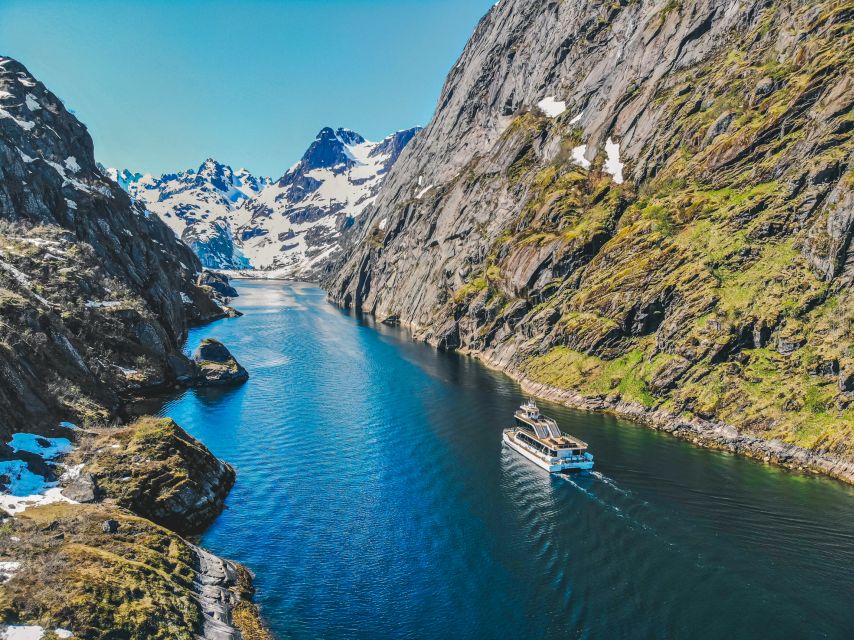 From Svolvær: Lofoten Islands Silent Trollfjord Cruise - Why Trollfjord feels different from a standard boat trip