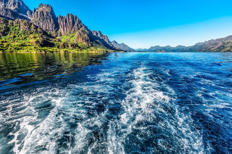 From Svolvær: Lofoten Islands Silent Trollfjord Cruise - Watching white-tailed eagles in the open water