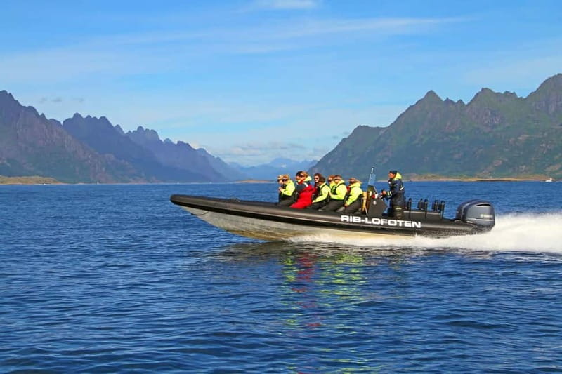 From Svolvær: Lofoten RIB Sea Eagle Safari Trollfjord Cruise - Why the sea eagles make this Svolvær trip special