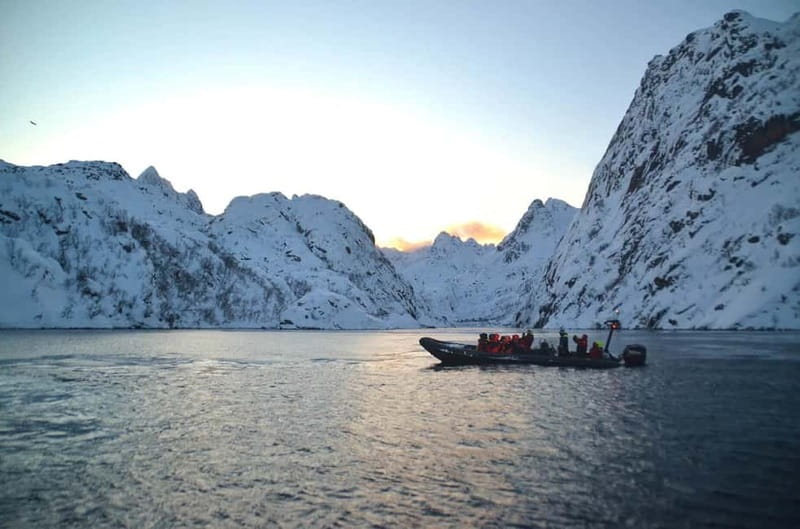 From Svolvær: Lofoten RIB Sea Eagle Safari Trollfjord Cruise - What the guide adds beyond the scenery