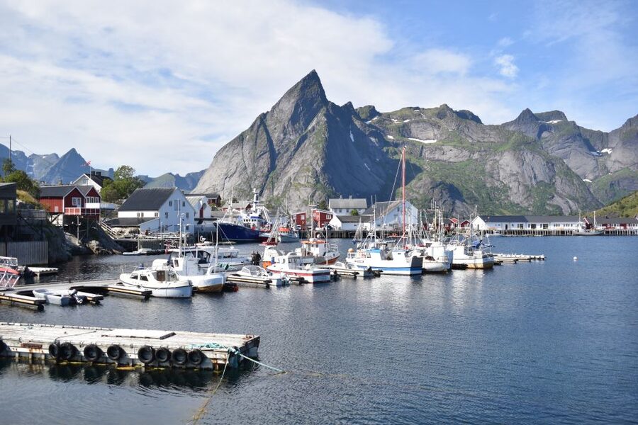 From Svolvaer: Private Lofoten Islands Tour with Transfer - Reinefjorden from the road and viewpoints