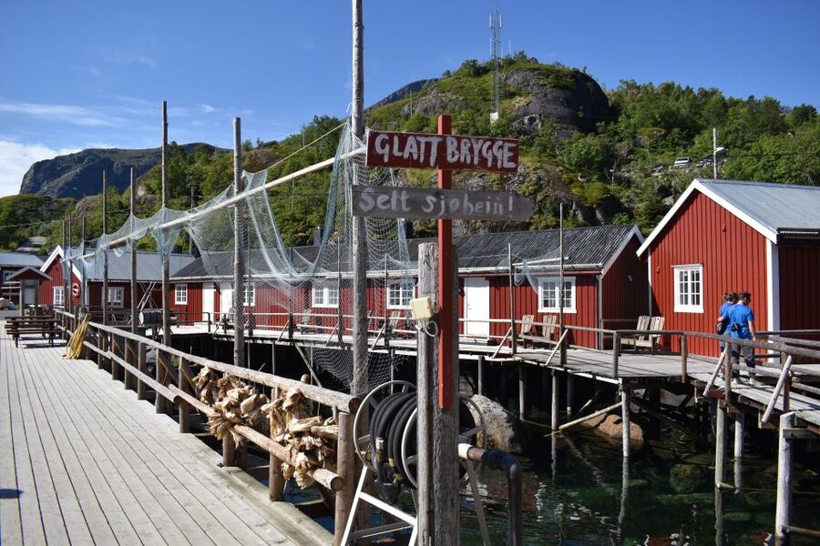 From Svolvaer: Private Lofoten Islands Tour with Transfer - Price, cancellation, and cruise-ship value
