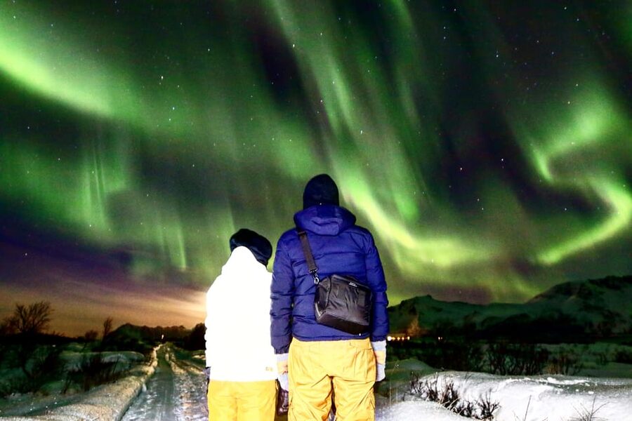 From Svolvaer: Private Northern Lights Search Trip - Practical details that affect your decision