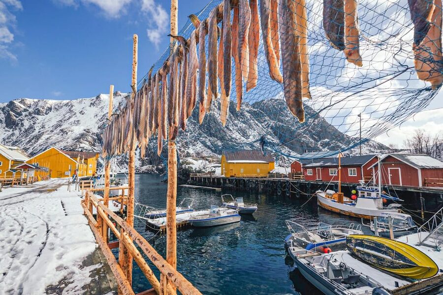 From Svolvær: Reine & Å Lofoten West Island Full Day Tour - Sakrisøya’s yellow cabins