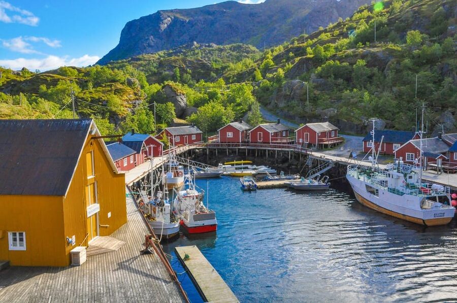 From Svolvær: Reine & Å Lofoten West Island Full Day Tour - Is $294 good value?