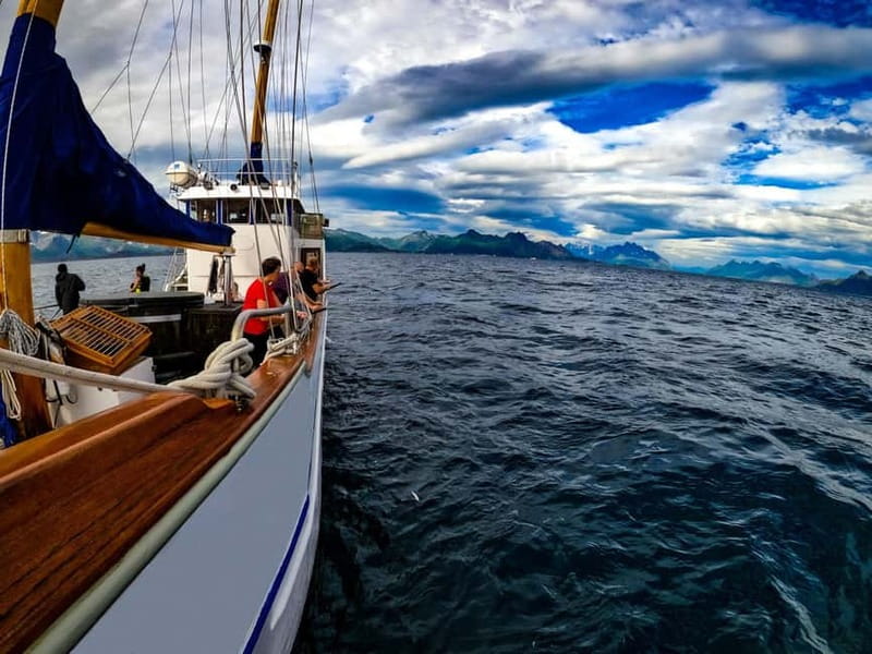 From Svolvær: Taste of Lofoten - Cultural Fishing Experience - Fishing your dinner on Vestfjorden