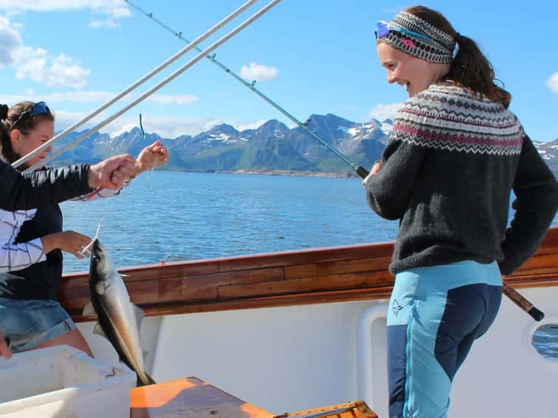 From Svolvær: Taste of Lofoten - Cultural Fishing Experience - Three hours that mix fishing and fjord views