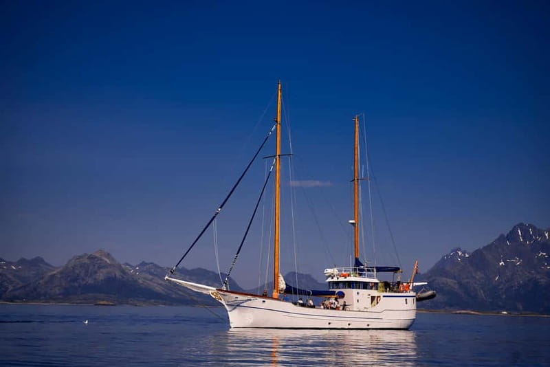 From Svolvær: Taste of Lofoten - Cultural Fishing Experience - From fish on the line to soup in the galley