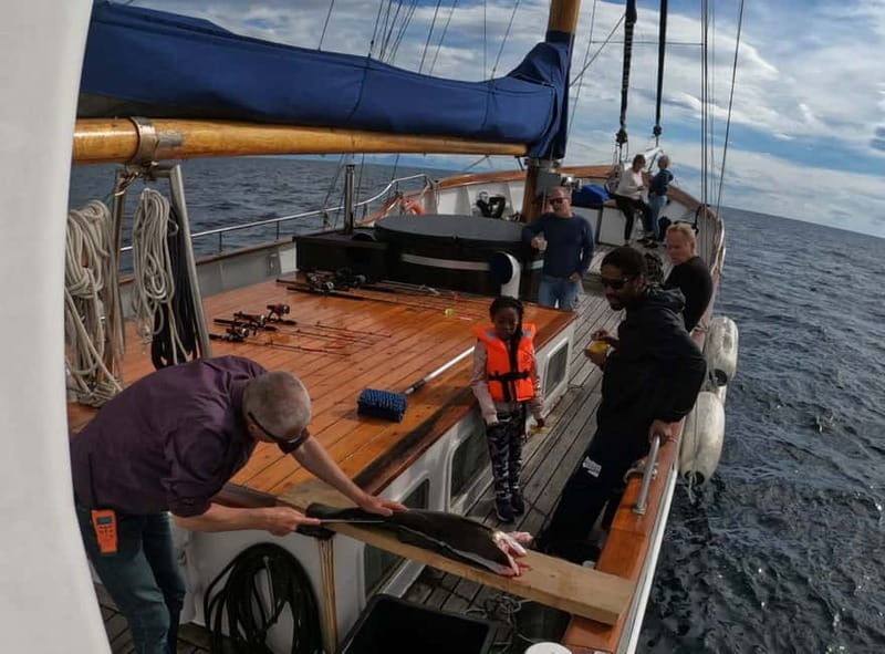 From Svolvær: Taste of Lofoten - Cultural Fishing Experience - Starting at Stella Oceana in Svolvær