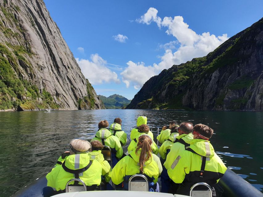 From Svolvaer: Trollfjorden Wildlife RIB Cruise - Key points to know before you book