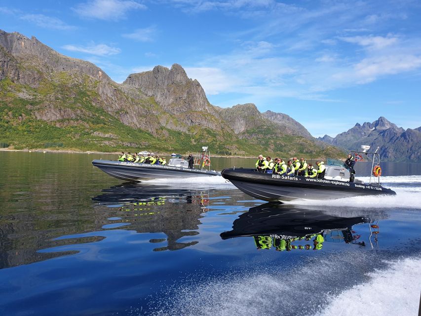 From Svolvaer: Trollfjorden Wildlife RIB Cruise - Through Øyhellsundet toward the fjord