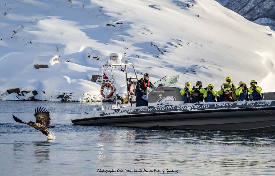 From Svolvaer: Trollfjorden Wildlife RIB Cruise - Entering the narrow walls of Trollfjorden