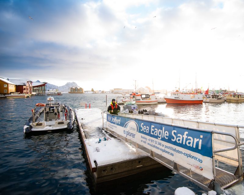 From Svolvaer: Trollfjorden Wildlife RIB Cruise - Skrova, beaches, and island life from the water