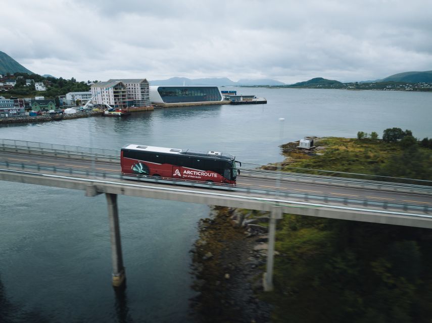 From Svolvær: Whale Watching Day Trip to Andenes - Why Andenes is worth the long ride
