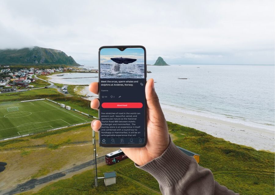 From Svolvær: Whale Watching Day Trip to Andenes - Is $361 good value?