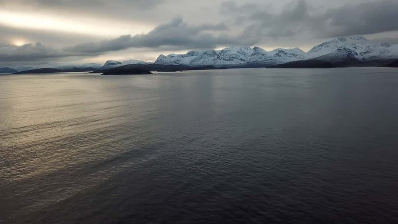 From Tromsø: All-Inclusive Whale & Orca Safari - A small boat with useful comforts