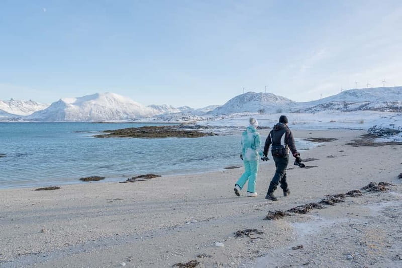 From Tromsø: Arctic Roadtrip: fjords tour with scenic picnic - Sommarøy and the picnic by the water