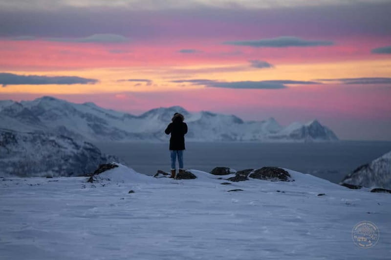 From Tromsø: Arctic Roadtrip: fjords tour with scenic picnic - The photo service adds real value