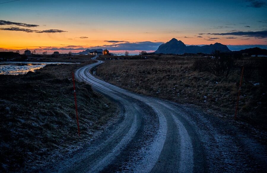 From Tromsø: Arctic Wildlife & Fjord Sightseeing Tour by Car - From Clarion Hotel The Edge to Kvaløysletta