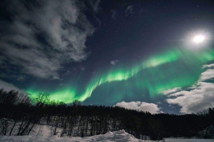 From Tromsø: Aurora Borealis Tour - How the $181 price compares with the experience