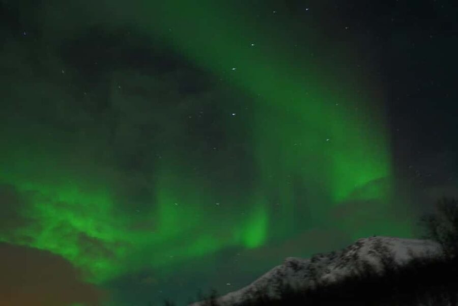 From Tromsø: Aurora Bus Tour with Snacks, Photos, and Drinks - What happens at the secret stop