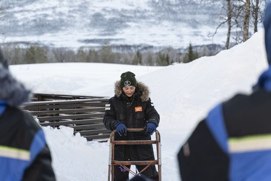 From Tromsø: Fun and Easy Dog Sledding Adventure - Key points to know before booking