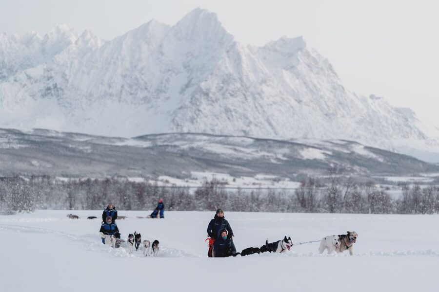 From Tromsø: Fun and Easy Dog Sledding Adventure - An hour on the sled, with both roles included