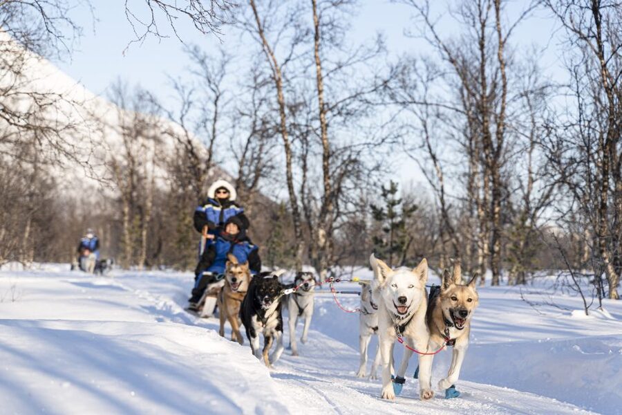 From Tromsø: Fun and Easy Dog Sledding Adventure - Meeting the huskies after the run