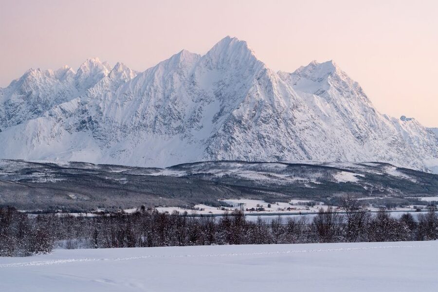 From Tromsø: Fun and Easy Dog Sledding Adventure - Is $282 per person a fair price?