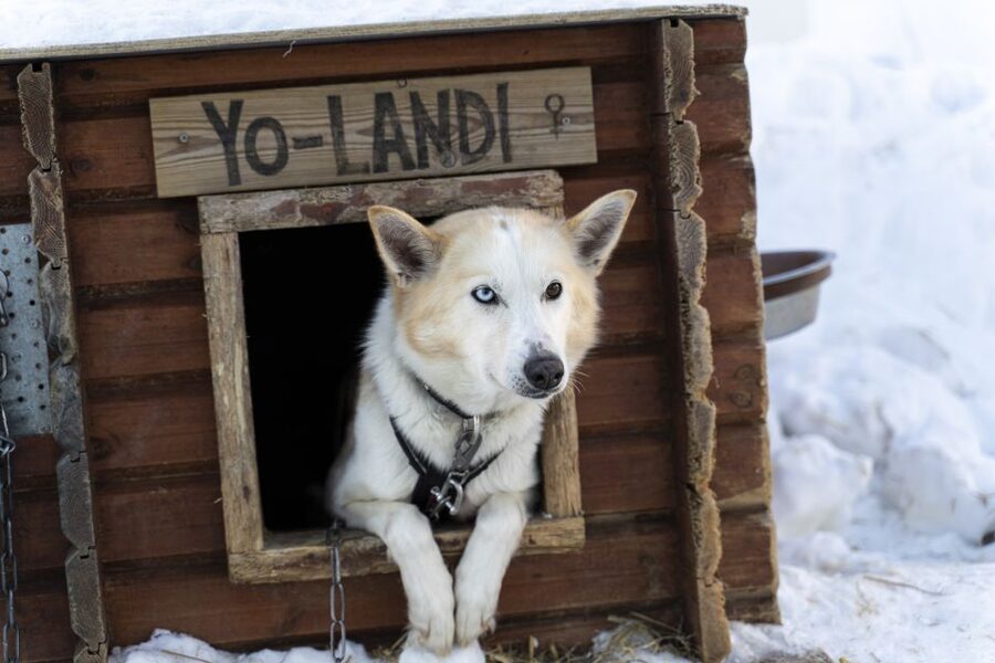 From Tromsø: Fun and Easy Dog Sledding Adventure - Getting fitted for Arctic conditions