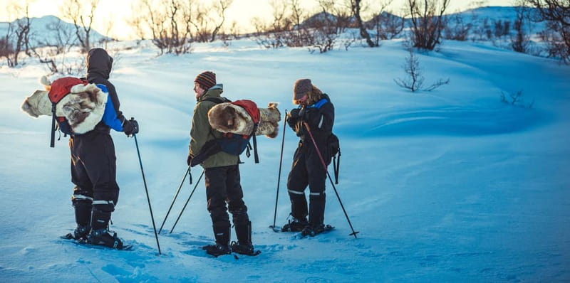 From Tromsø: Guided Husky Snowshoe Hike and Husky Camp Visit - Who should book this experience?