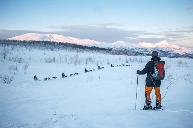 From Tromsø: Guided Husky Snowshoe Hike and Husky Camp Visit - From Tromsø to Kvaløya in about 30 minutes