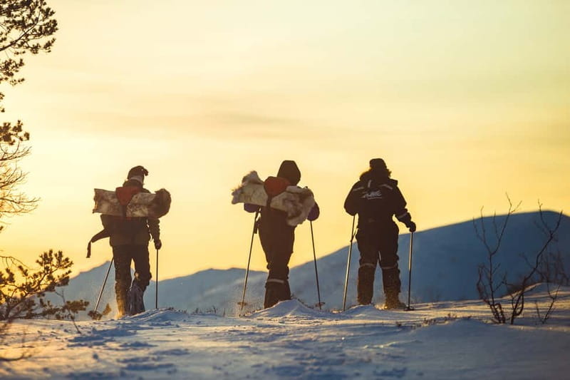 From Tromsø: Guided Husky Snowshoe Hike and Husky Camp Visit - What it is like to walk with a husky