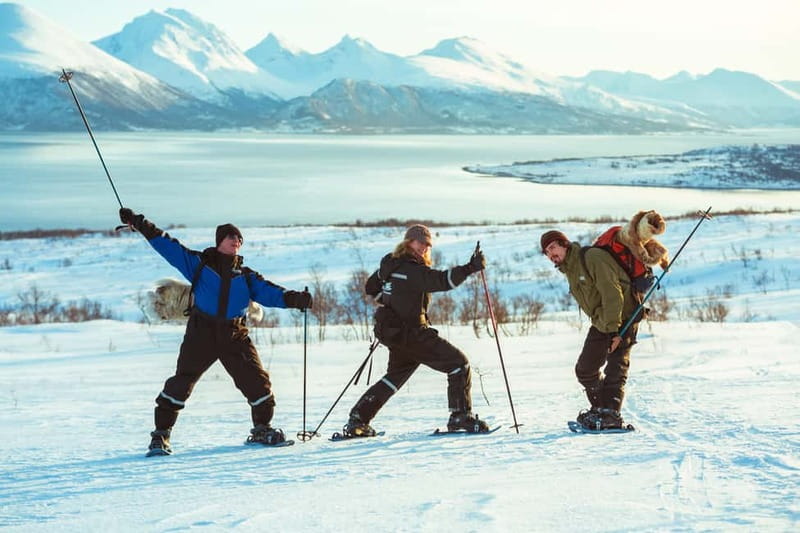 From Tromsø: Guided Husky Snowshoe Hike and Husky Camp Visit - The trail break: berry drink, cookies, and big views