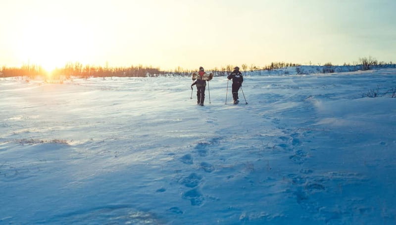 From Tromsø: Guided Husky Snowshoe Hike and Husky Camp Visit - Coffee and cake beside the fire