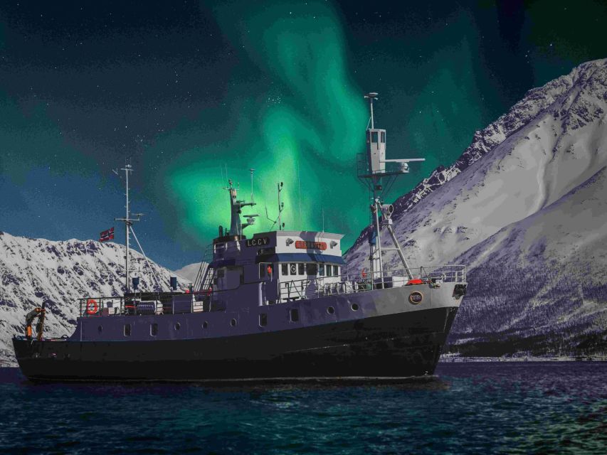 From Tromsø: Northern Lights Cruise on a Cozy Vintage Vessel - Searching for the Northern Lights from the fjord