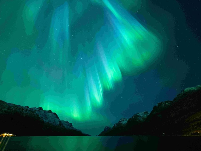 From Tromsø: Northern Lights Cruise on a Cozy Vintage Vessel - Who will enjoy this cruise most