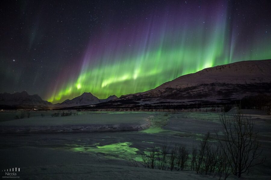 From Tromsø: Northern Lights Tour - Waiting beside the bonfire